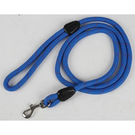 6x Nylon Hundeleine B=10mm L=150cm diverse Farben Leine Hunde Hundebedarf TOP (1/4)