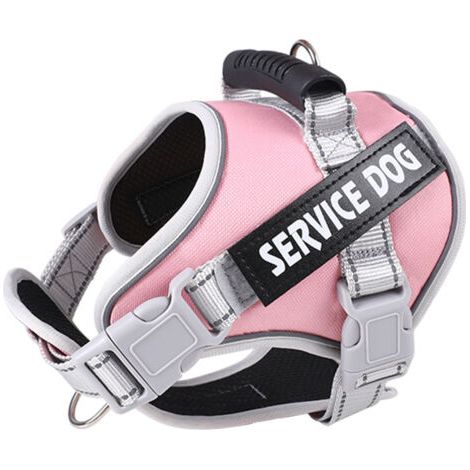 BUNTHAUS Harnais de poitrine pour animaux de compagnie, Harnais pour chat et chien en daim ,Laisse pour chien en corde pour chien réfléchissante et respirante (rose-L) (1/5)