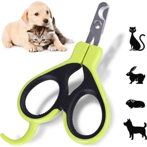 Coupe-griffes pour animaux de compagnie – Coupe-griffes pour lapin, chiot, chaton, cochon d'Inde, petit chien – Aiguisé, sûr, anti-rayures (vert) (1/5)
