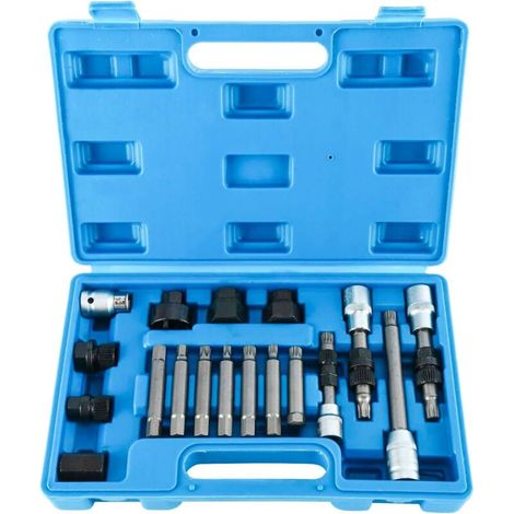 Lntyq Kit d’outillage universel pour alternateurs - Jeu d’embouts - 18 pièces - Pour le maintien et le montage d'une poulie roue libre