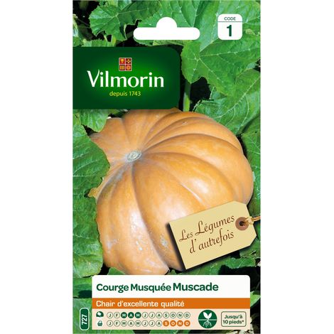 Sachet graines Courge Musquée Muscade (1/2)