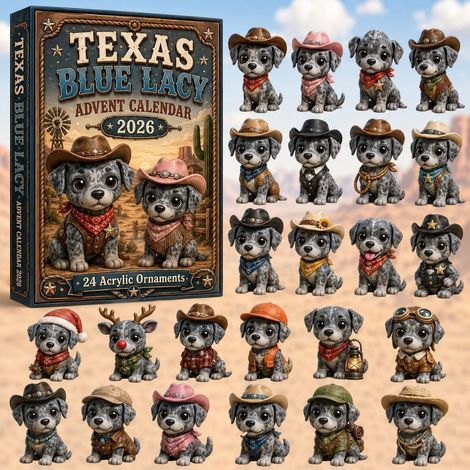 Adventskalender 2026 mit zwei Cowboy-Halsbändern – 2D-Überraschungsbox