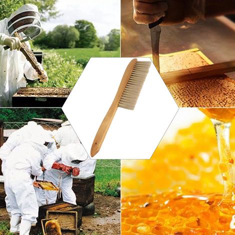 Langstielige, zweireihige Imkerbürste zur Bienenstockreinigung (1/5)