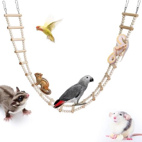 Échelle à oiseaux longue avec barreaux et perles en bois, jouet d'escalade pour perruches, perroquets, rats, écureuils volants, écureuils et serpents (11 pièces) (1/5)