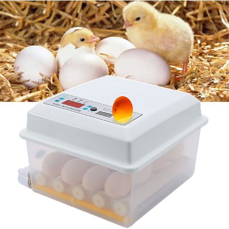 Incubadora de huevos de 16 unidades con volteador automático de huevos y control digital de temperatura (220V/12V) (1/5)