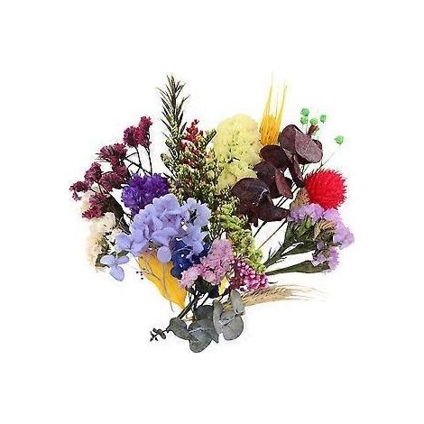 boîte de fleurs séchées pressées à faire soi-même - Matériel floral pratique - Plusieurs vraies fleurs séchées - Spécimen pour la maison - Femme/Fille (Couleur aléatoire, Style aléatoire)