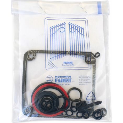 FADINI 87155 Kit Confezione Serie Guarnizioni Per Motore Hindi 880 EVO Ricambio