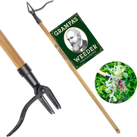 Arrache-Mauvaises Herbes Debout Original Grampa's Weeder avec Long Manche en Bambou Tête en Acier à 4 Griffes • Outil de Désherbage • Arracheur de Mauvaises Herbes (1/5)