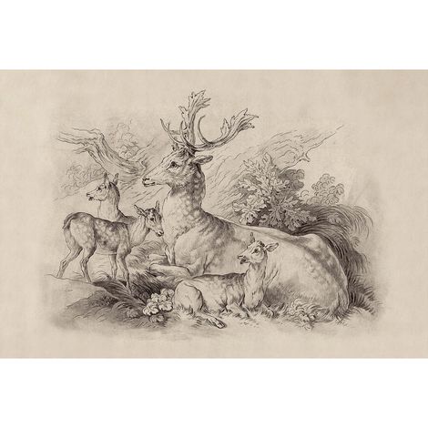 Papier peint panoramique animaux vintage Tapisserie panoramique forêt avec cerf beige & grise Papier peint panoramique idéal chambre (1/2)