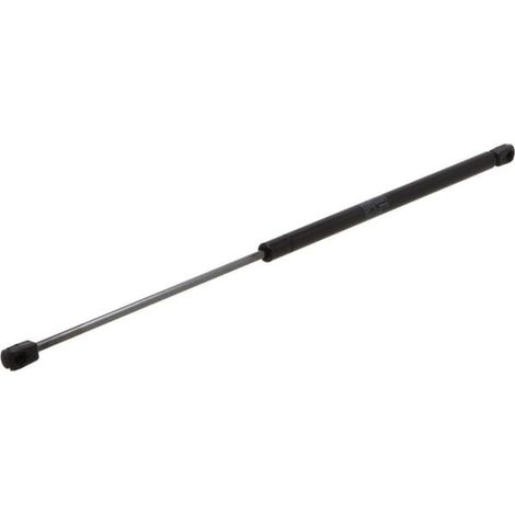 Bouteille de gaz pour vitre avant/arrière Fendt Farmer 312 X800420490000 (1/3)