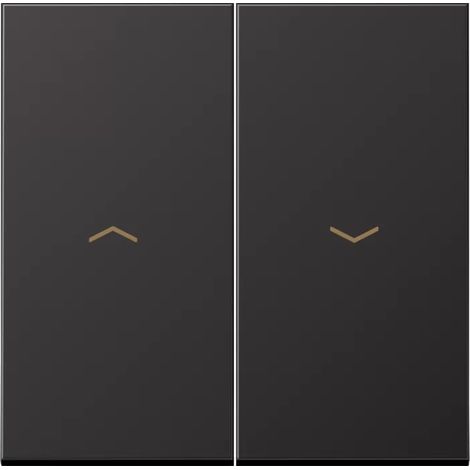 Jung Wippe 2fach, mit Pfeilsymbolen, Aluminium lackiert, Serie LS, dark AL 2995 P D (1/2)