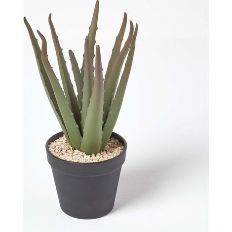HOMESCAPES Klein Künstliche Echte Aloe Vera in schwarzem Topf, 30 cm hoch (1/5)