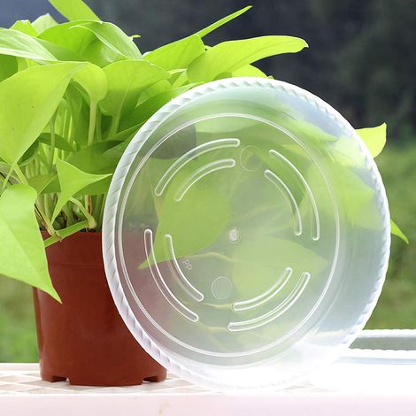 Lot de 10 soucoupes transparentes en plastique pour pots de fleurs, avec bacs de récupération d'eau, pour l'intérieur et l'extérieur (1/3)