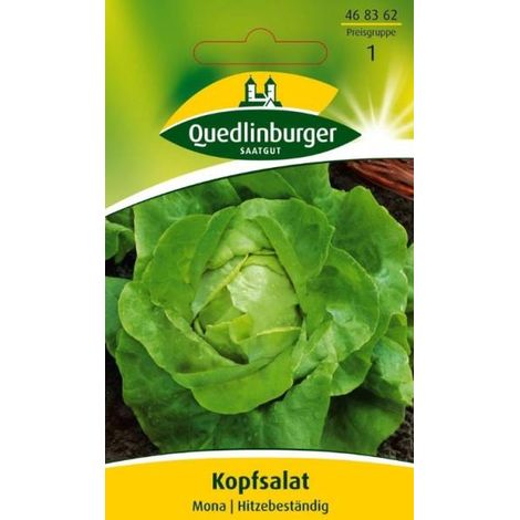 Quedlinburger Kopfsalat Mona - Gemüsesamen (1/2)