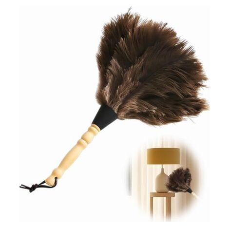 Plumeau en plumes d'autruche avec manche en bois pour la maison et le jardin, 32 cm (1/5)