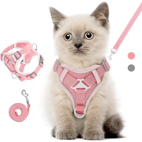 Harnais et Laisse pour Chat Réglable Anti-Évasion avec Bandes Réfléchissantes pour Chatons et Petits Chiens (1/5)