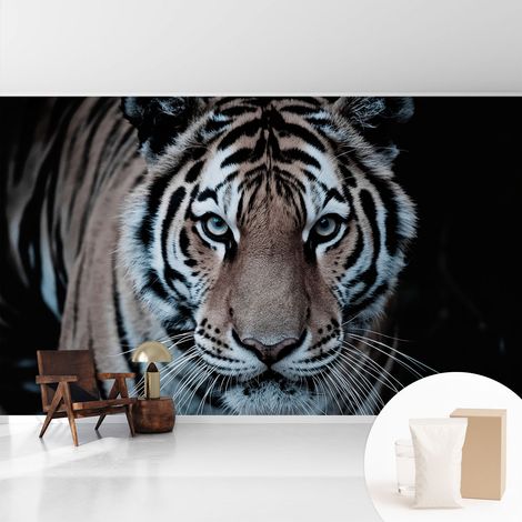 Papier peint intissé mural classique avec imprimé motifs décoratifs design élégant non‑tissé Portrait de tigre 416x254 cm (1/5)