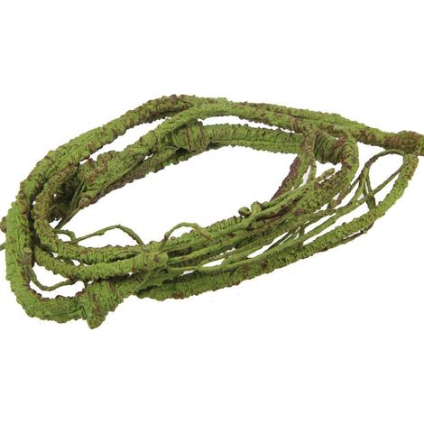 Branche Flexible de Vigne de la Jungle décorative pour lézard, Grenouilles, Serpents et Autres Reptiles, Petit, 1 m de Long (1/5)