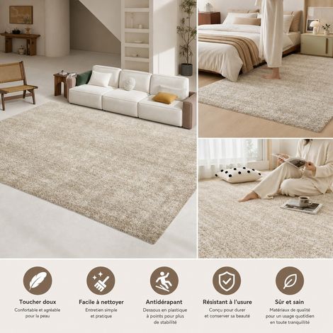 Tapis de Salon 80 x 120 cm Polyester Cristal Gris - Tapis de Chambre Japonais (1/4)