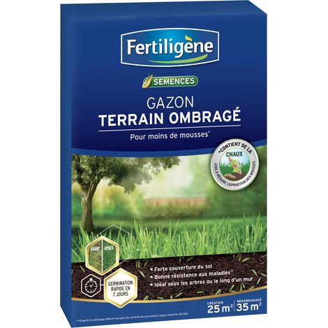 Semences Gazon Terrain Ombragé 875 g - Premières pousses en 1 semaine - Limite les mousses et résiste aux maladies - Zones à faible ensoleillement (sous les arbres) - Pour 200m² (1/5)