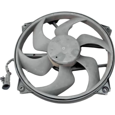 Moteur Ventilateur Radiateur PEUGEOT 307 [PRODUIT D'OCCASION]♻️1253a9 (1/3)