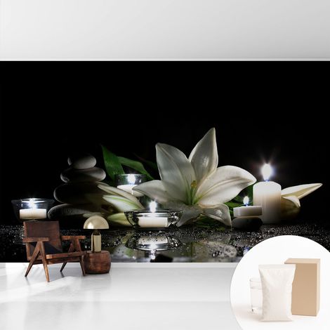 Papier peint intissé mural avec colle pour salon et chambre Décoration murale rapide - Colle incluse gratuite Scène relaxante 416x254 cm (1/5)