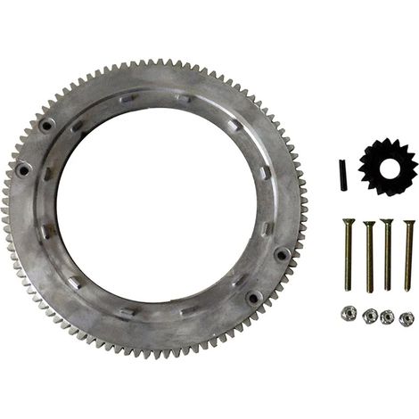 Anneaux de volant d'inertie à faible bruit 696537 392134 399676 pour des niveaux sonores réduits en plein air Outils Moteurs Accessoires Anneaux de volant d'inertie (1/5)