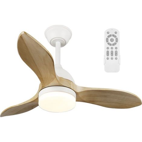 Ventilador de techo LED Tasme CCT Dim (20W) (1/5)