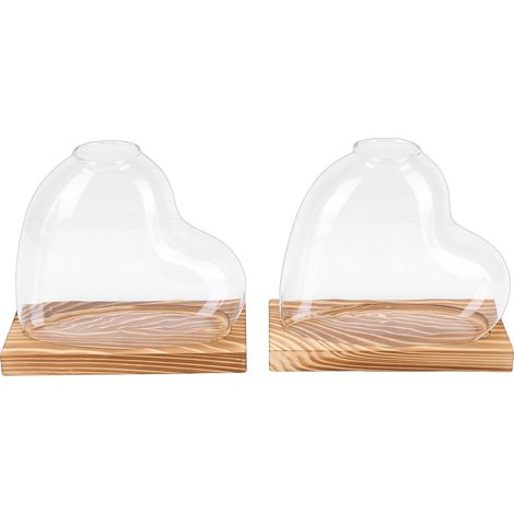 2er-Set herzförmige Anzuchtvasen aus Glas, ideal für die Vermehrung kleiner Hydrokulturpflanzen, für Zuhause oder Büro, braun (1/5)
