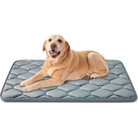 Matelas pour chien 50x10x1 cm, matelas orthopédique, housse lavable, convient aux grands chiens