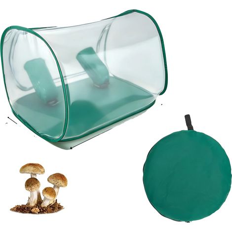 Kit de culture de champignons, design pliable, manipulation hygiénique, vert (1/2)