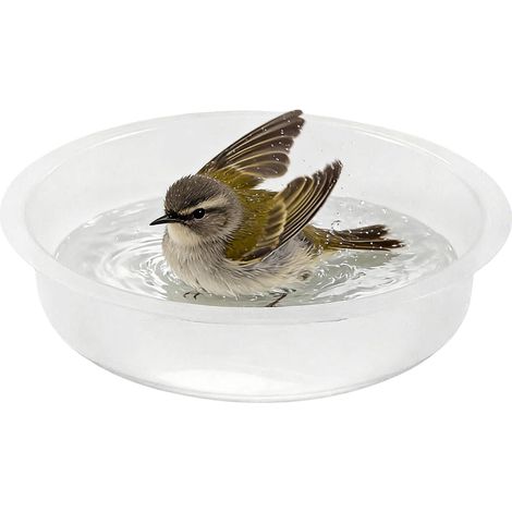 Plateau de mangeoire pour oiseaux pour l'extérieur, abreuvoir rond pour animaux, plaque de rechange pour mangeoire pour le jardin, le parc, la cour, la terrasse, l'extérieur, le pont, le balcon (1/5)