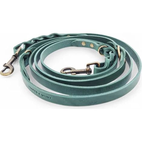 Laisse pour chien réglable multi-position en cuir tanné végétal vert 220 cm - PANGIVO
