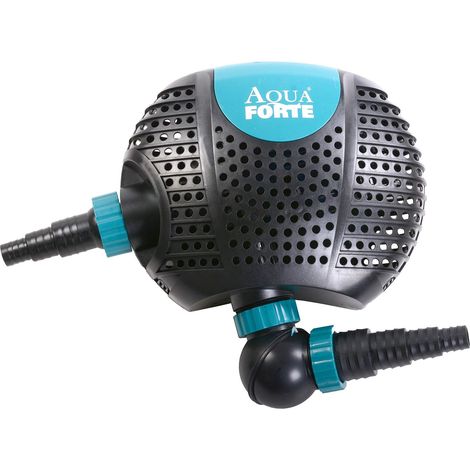 AQUAFORTE Acquaforte di Stagno/Filtro Pompa DM 10000 (1/2)