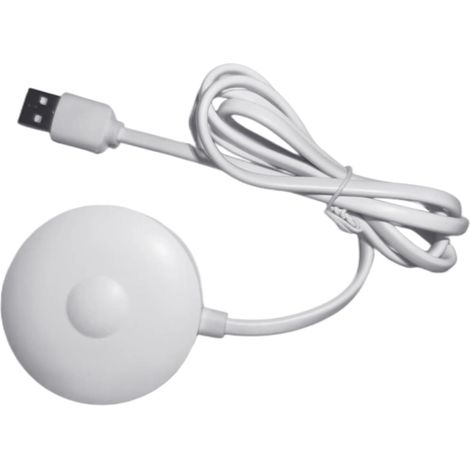 Station de charge magnétique USB pour brosses à dents électriques compatible avec Io7 Io8 Io9 Blanc ABS Câble de 1 m Base magnétique portable pour brosses à dents électriques (1/4)