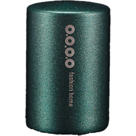 Ouvre-bouteille - Acier Inoxydable - Pour Bière Soda - Design Épuré - 1 Pièce (1/5)