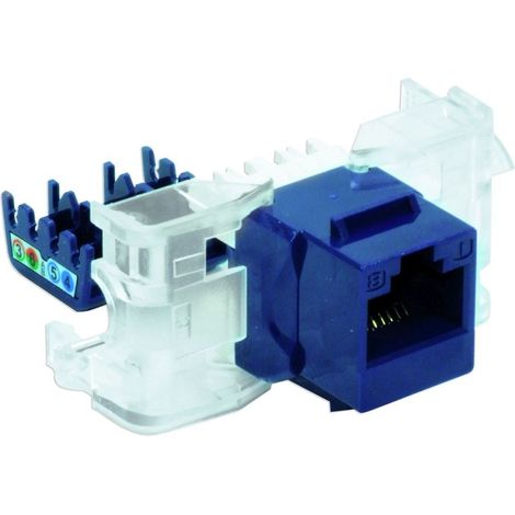Connettore dati RJ45 UTP cat. 5e senza attrezzi, colore blu Keystone