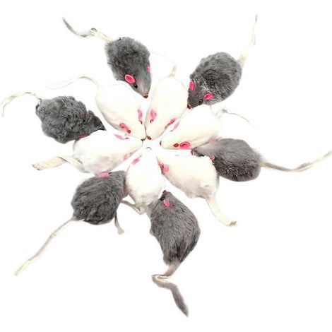Lot de 12 jouets pour chats et animaux de compagnie en fausse fourrure de lapin douce et sonore -- (1/5)