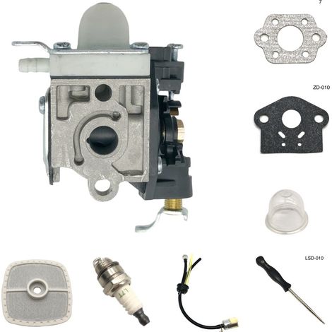 Souffleur à lames PB250LN PB-250 ES250 RB-K106 avec carburateur PB250 909-140 (1/4)