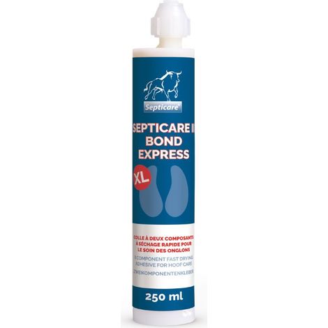12 cartouches de colle 250 ml SEPTICARE II BOND EXPRESS XL (1/3)