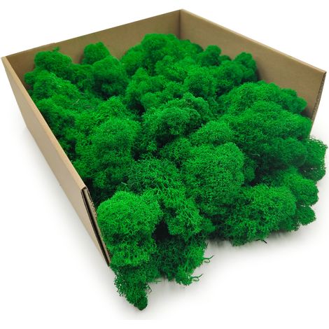Musgo de reno - Finlandés - Limpio - Verde - 500 g netos