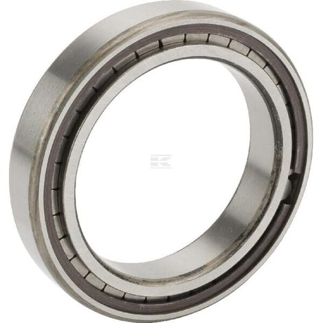 Cuscinetti a rulli cilindrici 60x85x16 mm INA/FAG INA/FAG SL182912BXL (1/2)