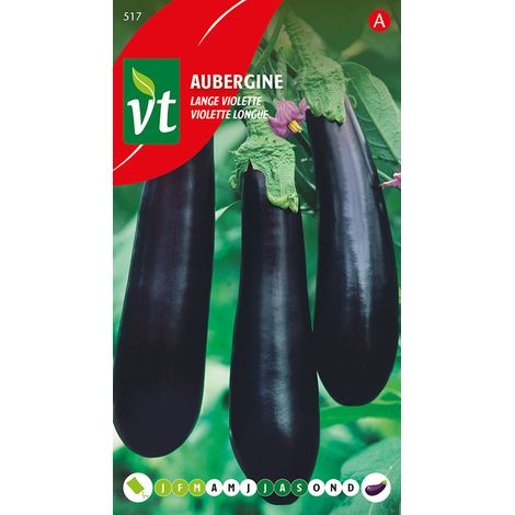 Aubergine Violette Longue - Ca. 1 gr (Livraison Gratuite)