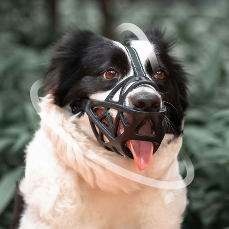 Dog Muzzle, Breathable Muzzle for Small, Medium, Large and Extra Large Dogs, Stop Biting, Barking and Chewing, Great for Aggressive Dogs (Small, Black) (1/5)