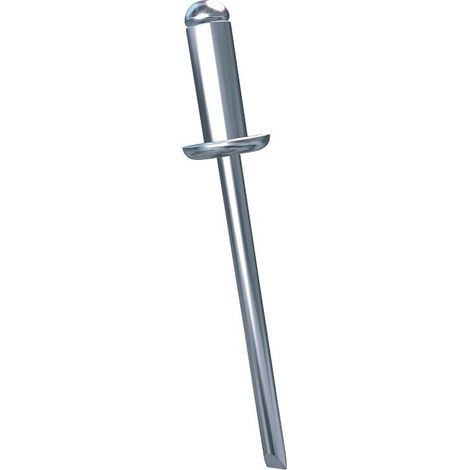 Rivets aveugles tête plate corps et tige inox, diamètre 3,2 mm, longueur 10 mm, boîte de 500 rivets - RIVQUICK