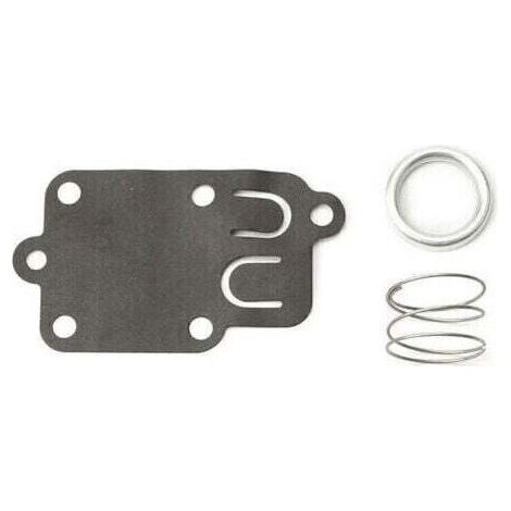 Briggs and Stratton carburetor membrane (1/4)