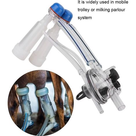 Ziegenmelkmaschine – Komplettset mit Einlagen – Transparenter, lebensmittelechter Kunststoff – Abmessungen 38 x 20 cm