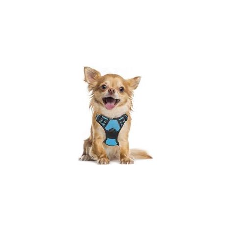 Harnais chien anti-traction bleu clair S, gilet réfléchissant réglable, attache devant, pour Bouledogue Français, Berger Australien, randonnée, voiture –
