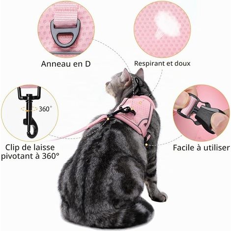 Harnais pour Chat avec Laisse Réglable Harnais Chat Adulte et Chaton en Maille Respirante Réfléchissante pour Promenade (1/4)