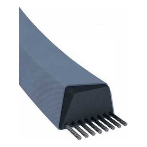 Courroie tondeuse Z34 trapézoïdale  10 x 885 mm (1/5)
